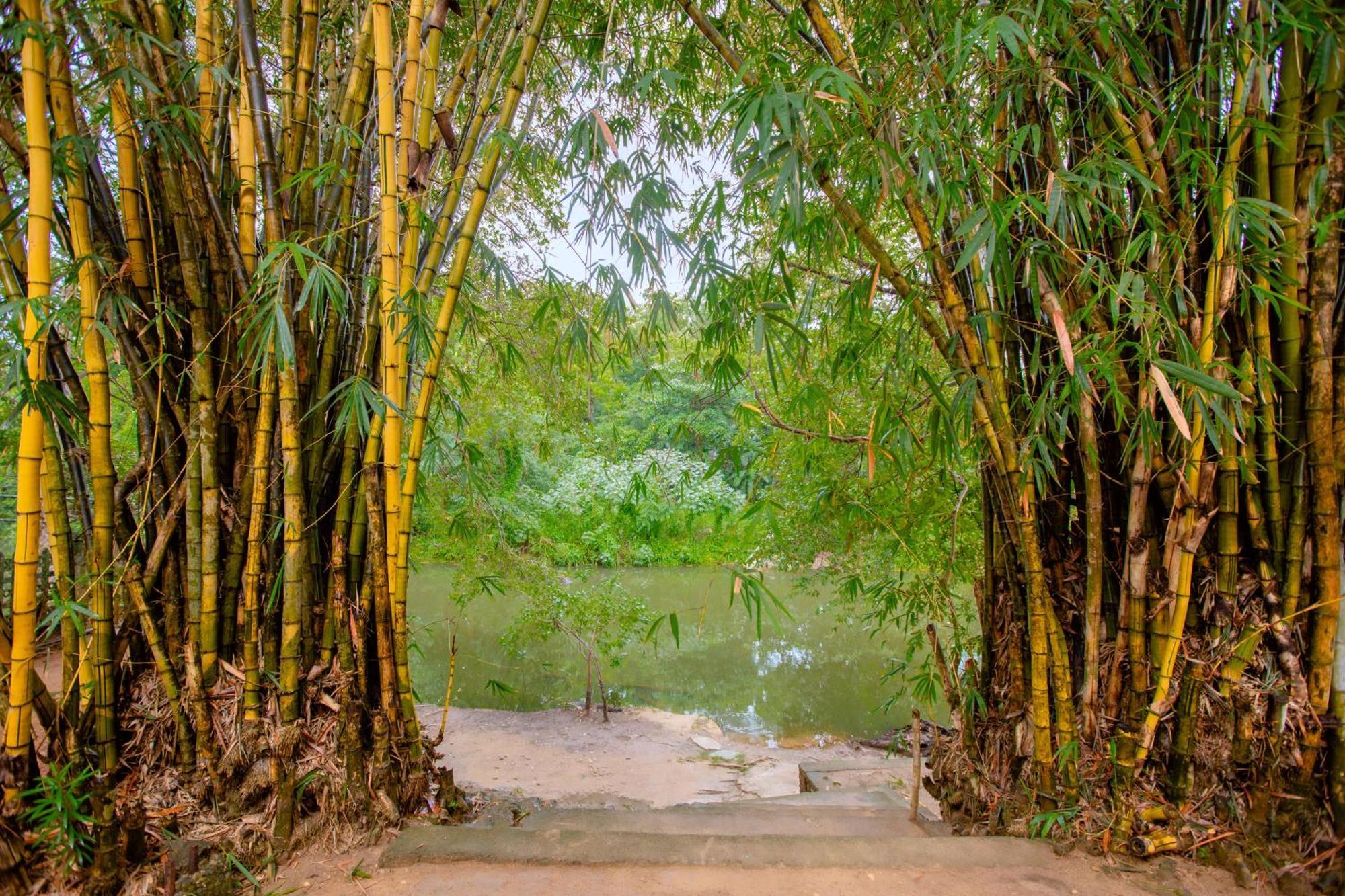 Yala River Face Inn Tissamaharama Bagian luar foto