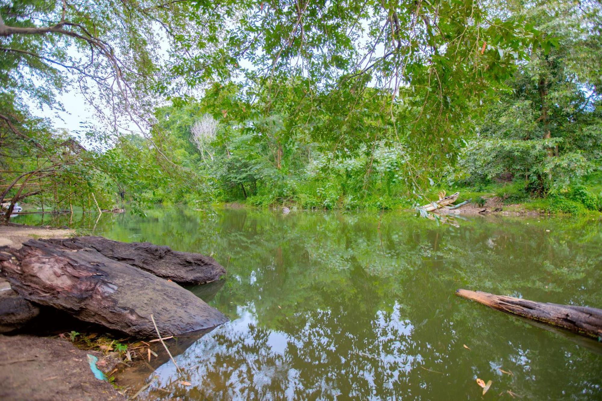 Yala River Face Inn Tissamaharama Bagian luar foto