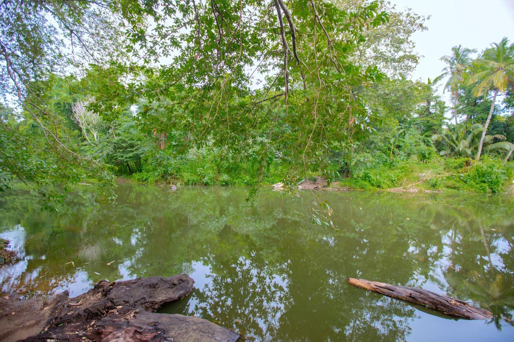 Yala River Face Inn Tissamaharama Bagian luar foto