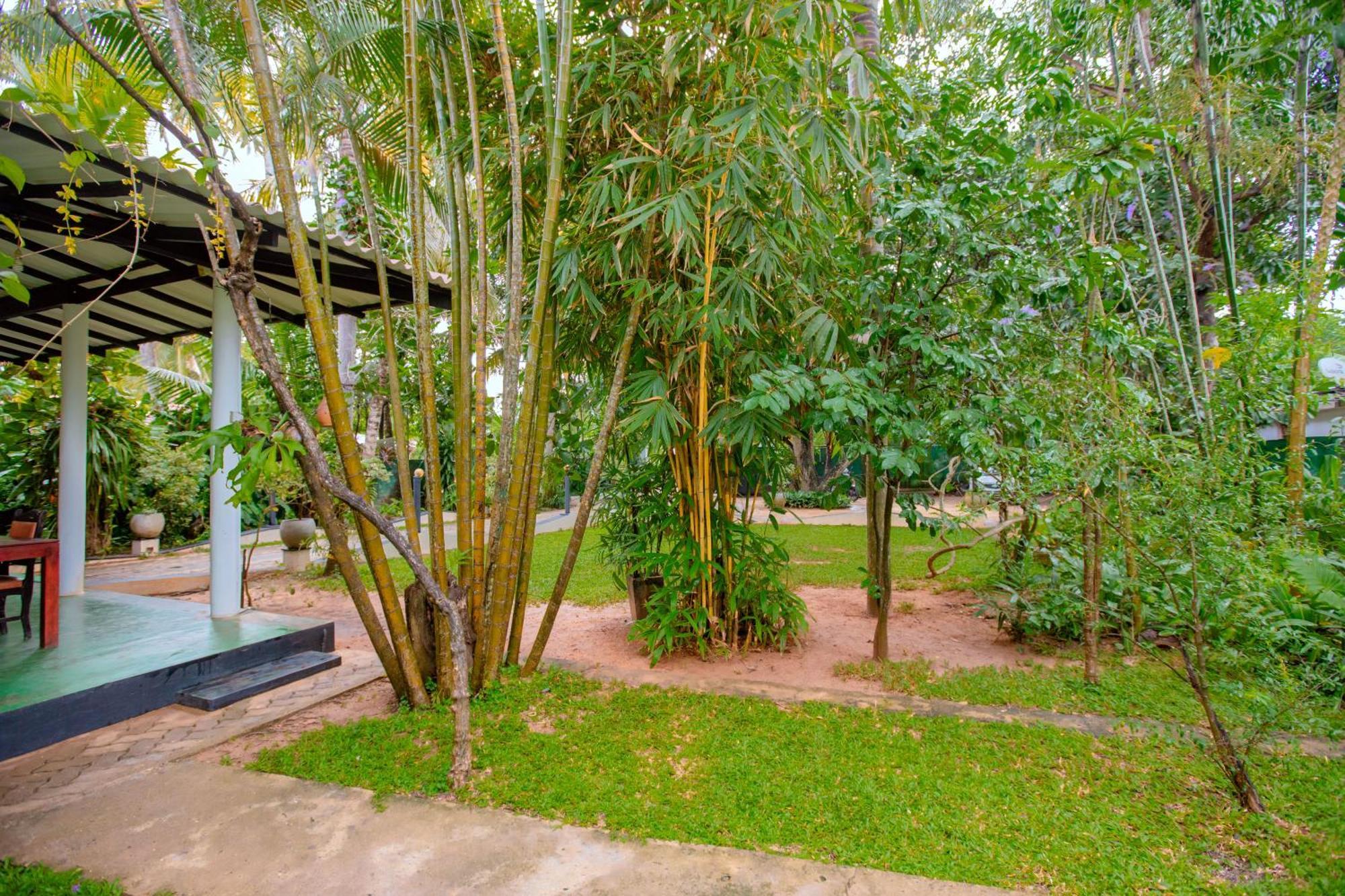 Yala River Face Inn Tissamaharama Bagian luar foto