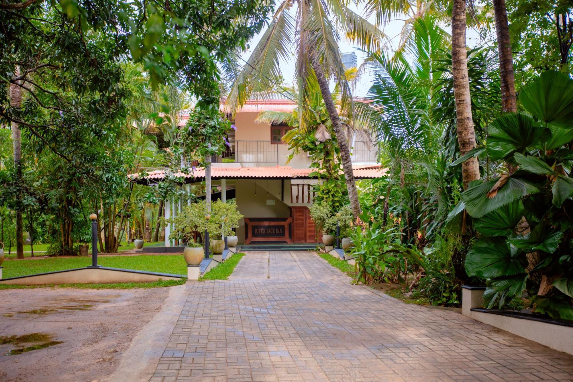 Yala River Face Inn Tissamaharama Bagian luar foto