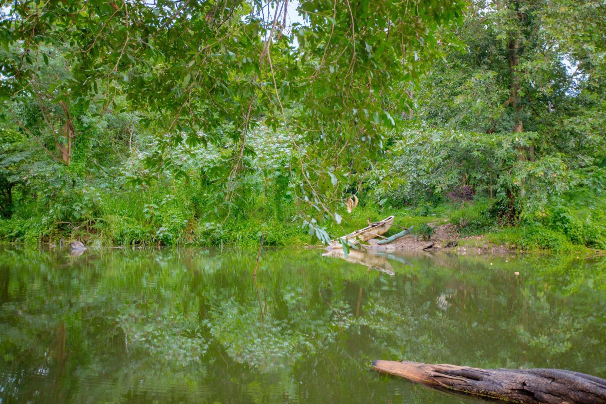Yala River Face Inn Tissamaharama Bagian luar foto